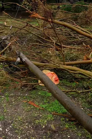 Senhora a arranjar telhado